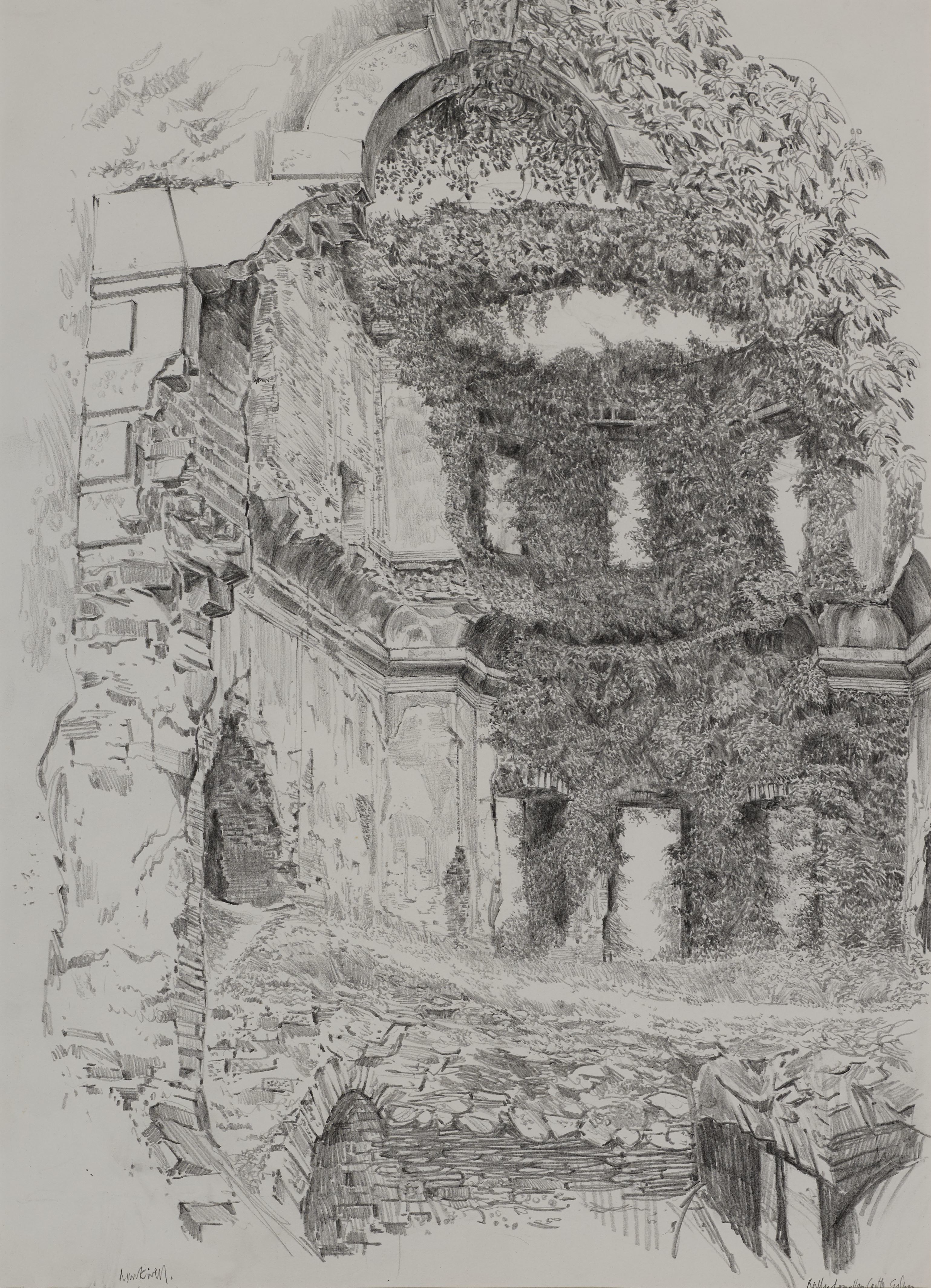 Ballydonelan-Castle-Co.-Galway.jpg#asset:11627:url