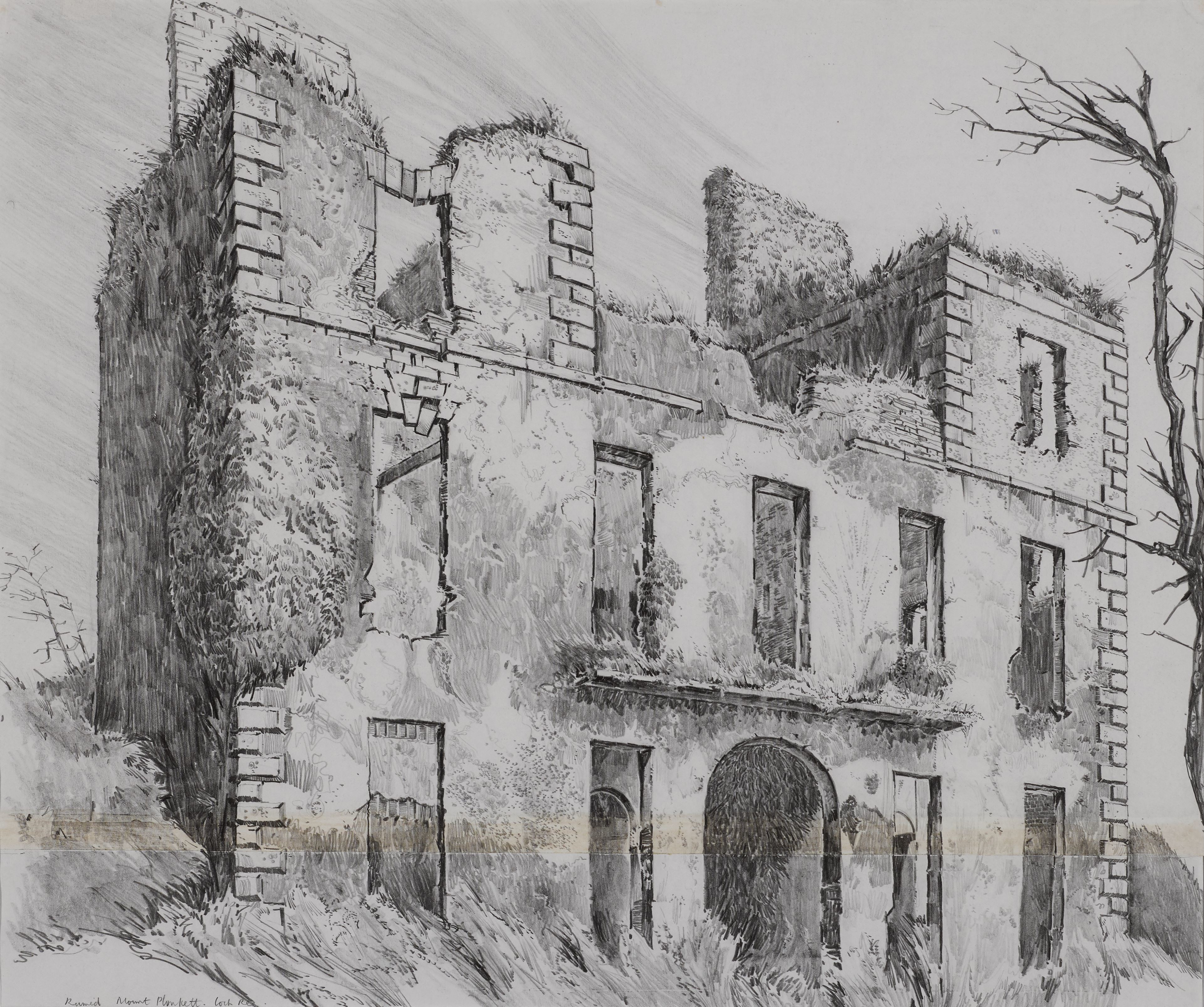 Mount-Plunkett-Co.-Roscommon-view-1.jpg#asset:11642
