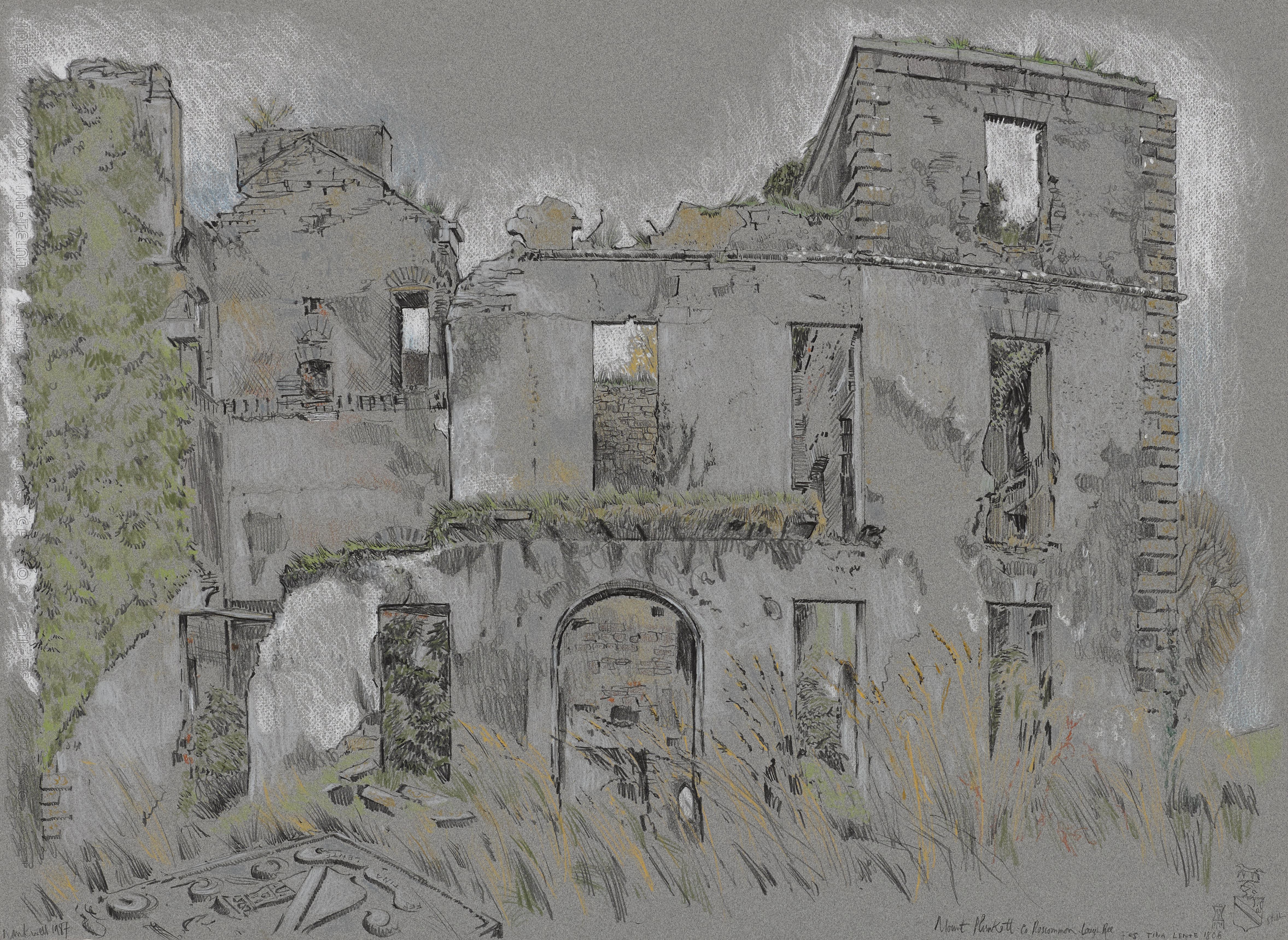 Mount-Plunkett-Co.-Roscommon-view-2.jpg#asset:11643