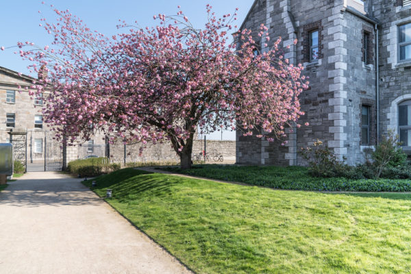 Walking Tour of Grangegorman with Dublin Decoded’s Arran Henderson